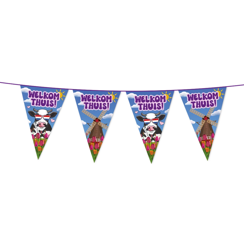 Welkom thuis Vlaggenlijn / slinger - 10 meter - vlaggetjes