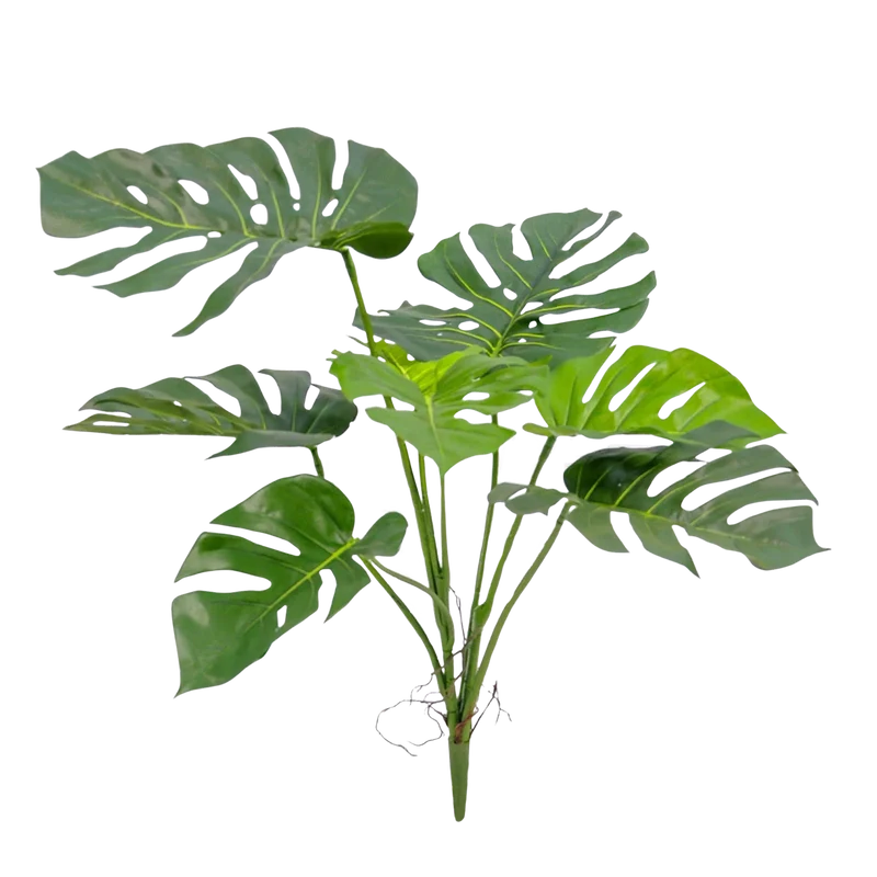 Künstliche Monstera - Lia | 75 cm