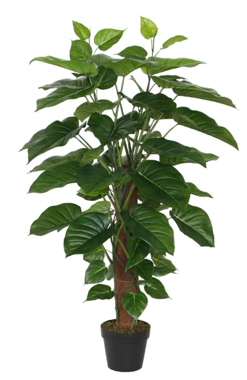 Künstlicher Pothos – Elowyn | 120 cm