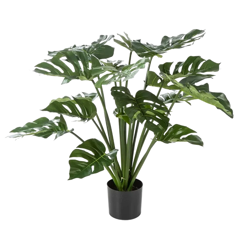 Kunst Monstera - Thilo | 98 cm