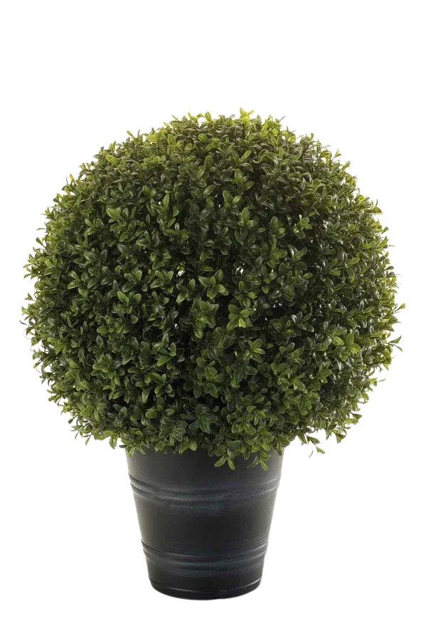 Kunst buxus - Ron | 53 cm