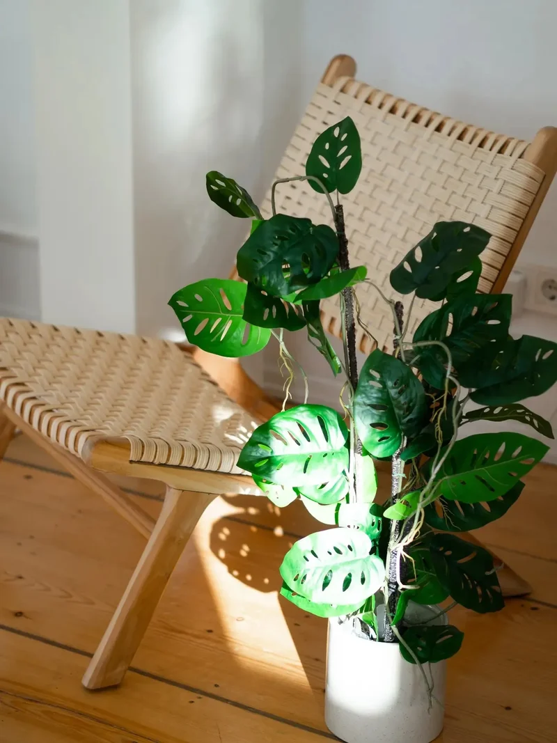 Kunst Monstera - Jonathan | 75 cm