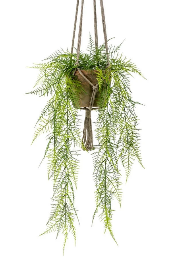 Künstlicher Hänge-Federspargel - Jannis | 60 cm