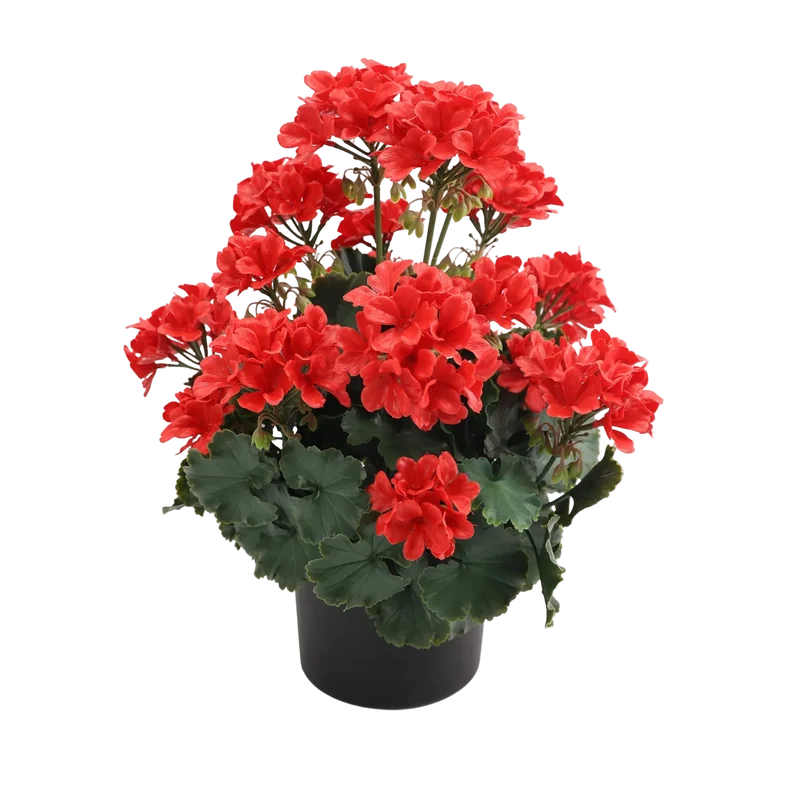 Künstliche Geranie - Letizia | 45 cm