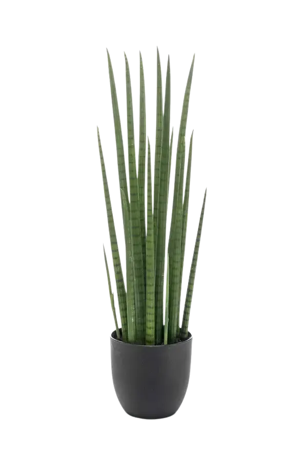 Kunststrik Hennep - Joleen | 70 cm