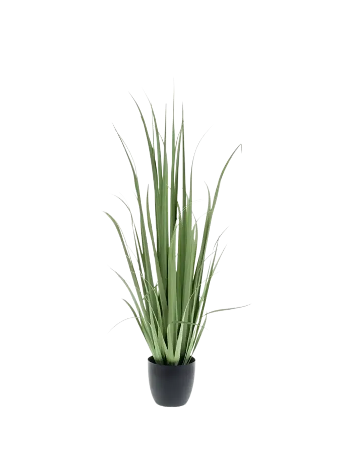 Yucca kunstgras - Iva | 120 cm