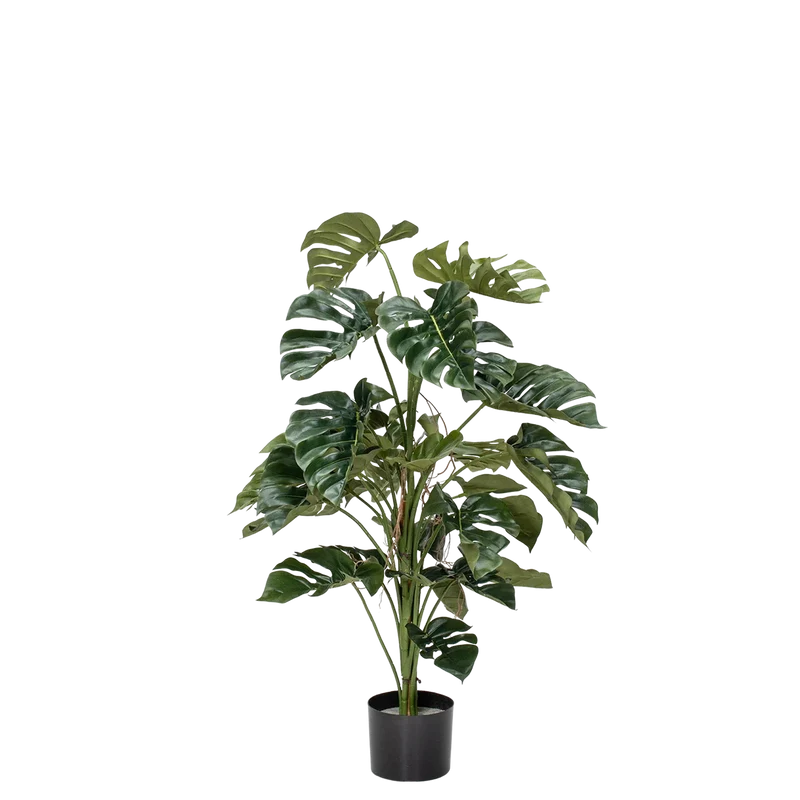 Künstliche Monstera - Sura | 120 cm