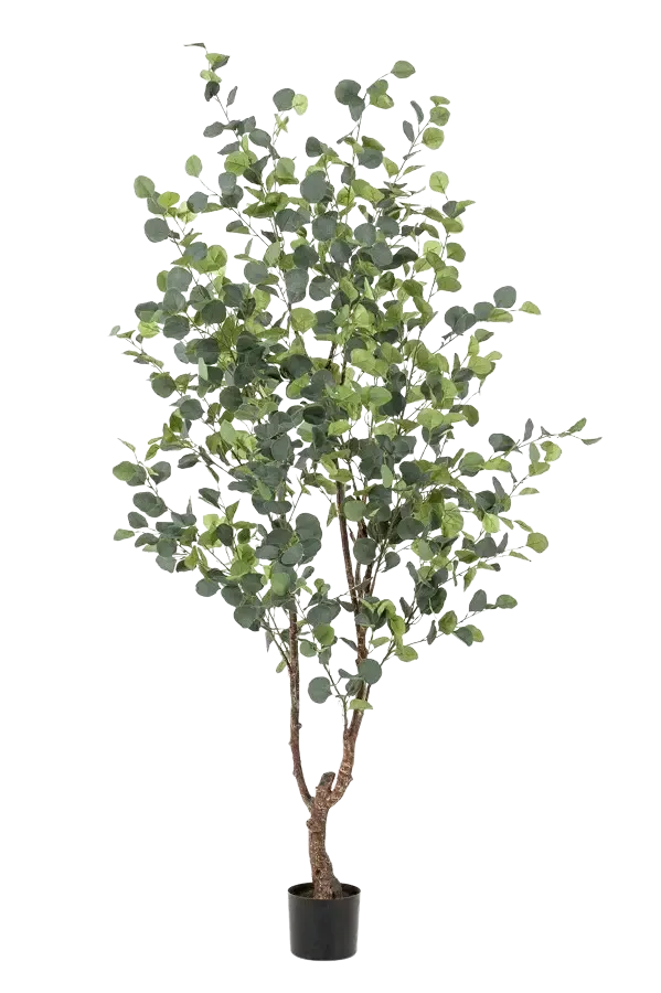 Kunst Eucalyptusboom - Christoffel | 180 cm