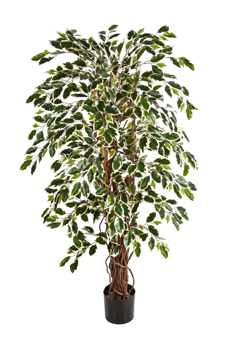 Künstlicher Ficus – Ravian | 120 cm