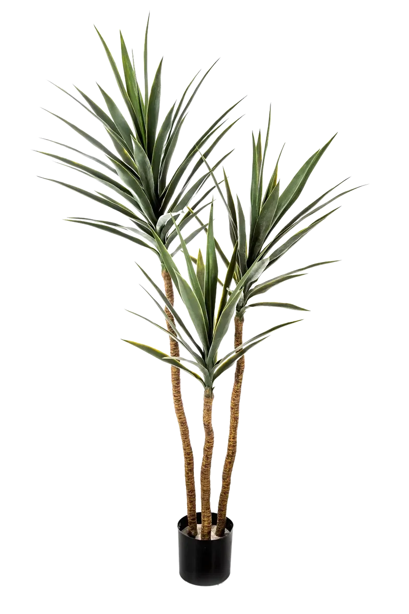 Künstliche Yucca – Talandra | 150 cm