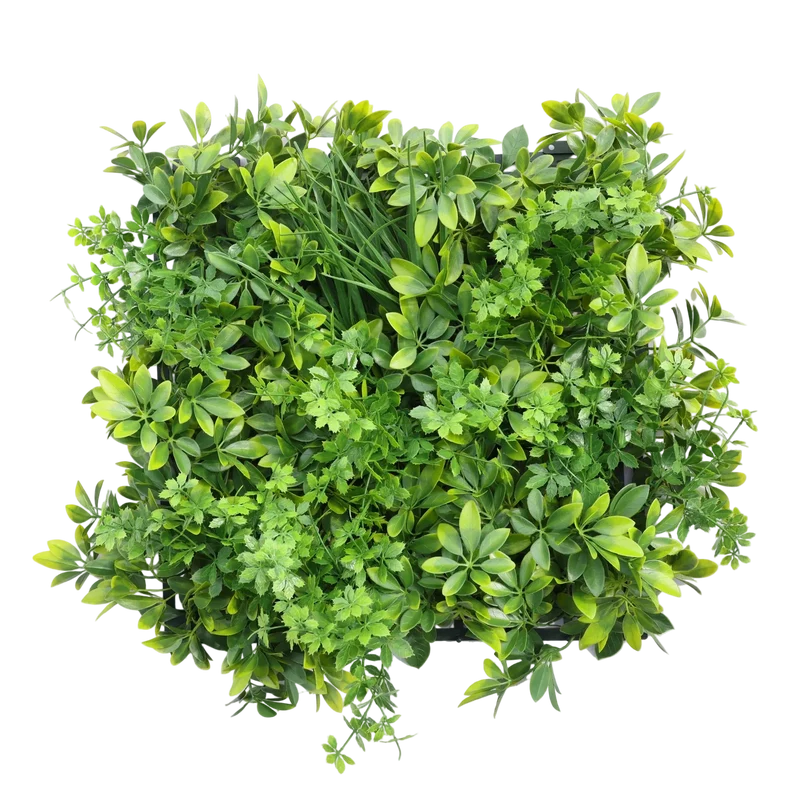 Künstliche Schefflera Matte - Orla | 50x50 cm
