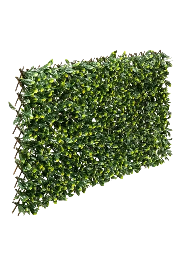 Flexible Prunus Pflanzenwand - Malte | 130-200 cm