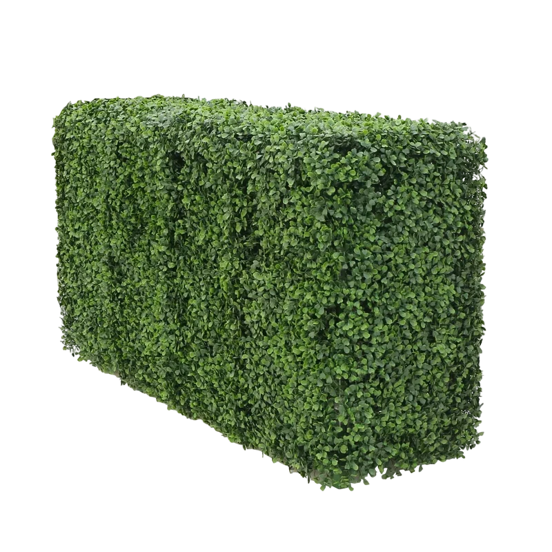 Künstliche Buchsbaumhecke - Jonas | 100x50 cm