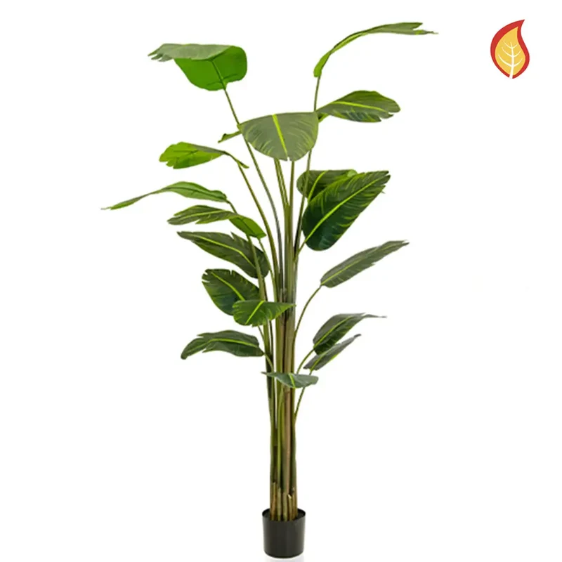 Künstliche Strelitzia - Zita | 240 cm