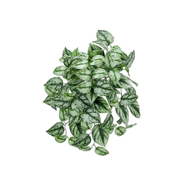 Künstliche Hänge-Scindapsus - Tammi | 40 cm