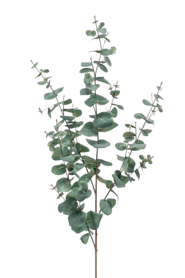 Kunst Eucalyptus tak - Coca | 115 cm