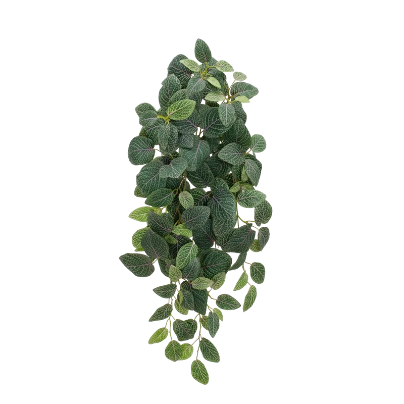 Künstliche Hänge-Fittonia - Tamara | 70 cm