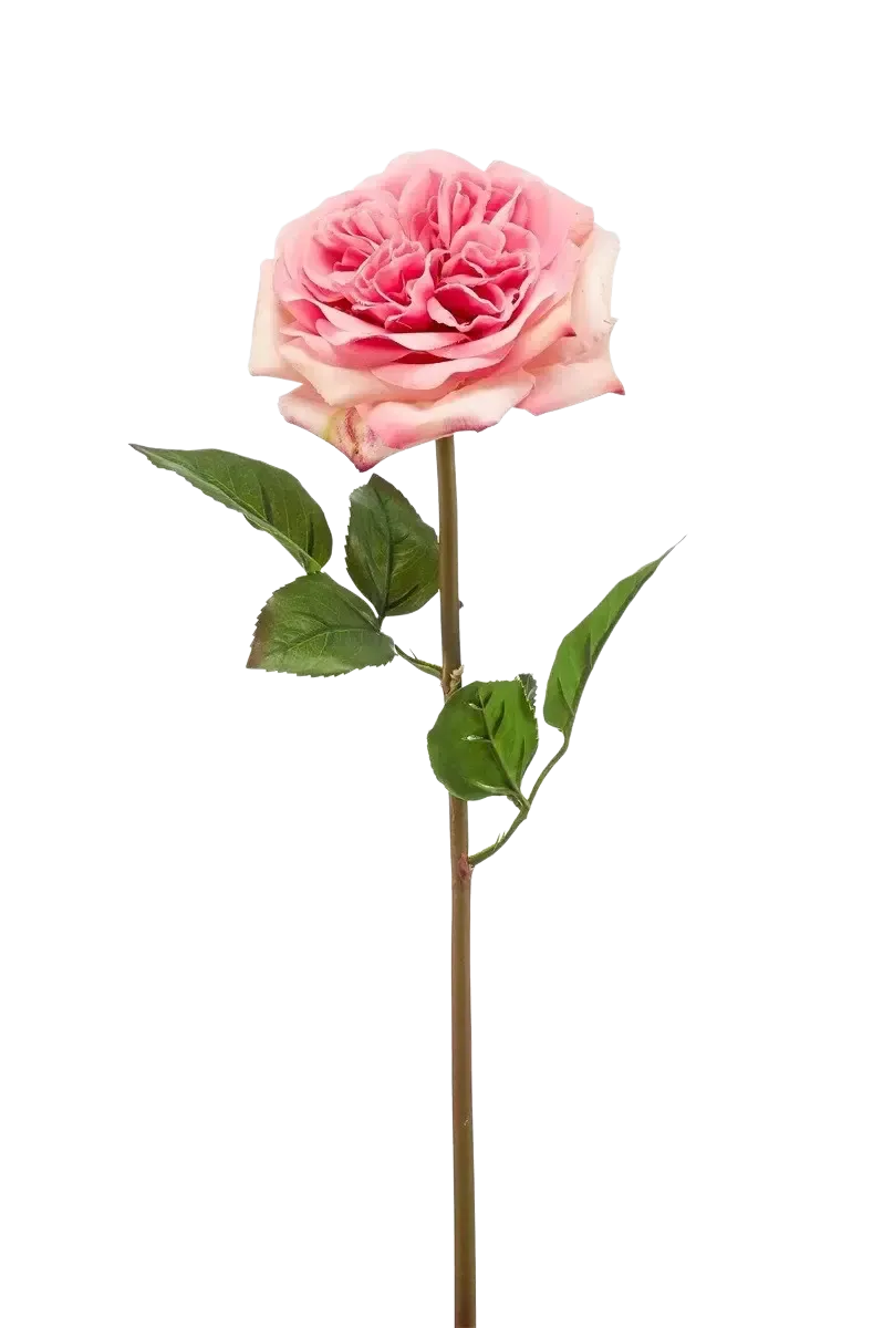 Kunstroos - Fleur | 60 cm