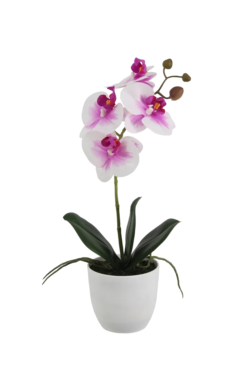 Künstliche Orchidee - Dan | 36 cm