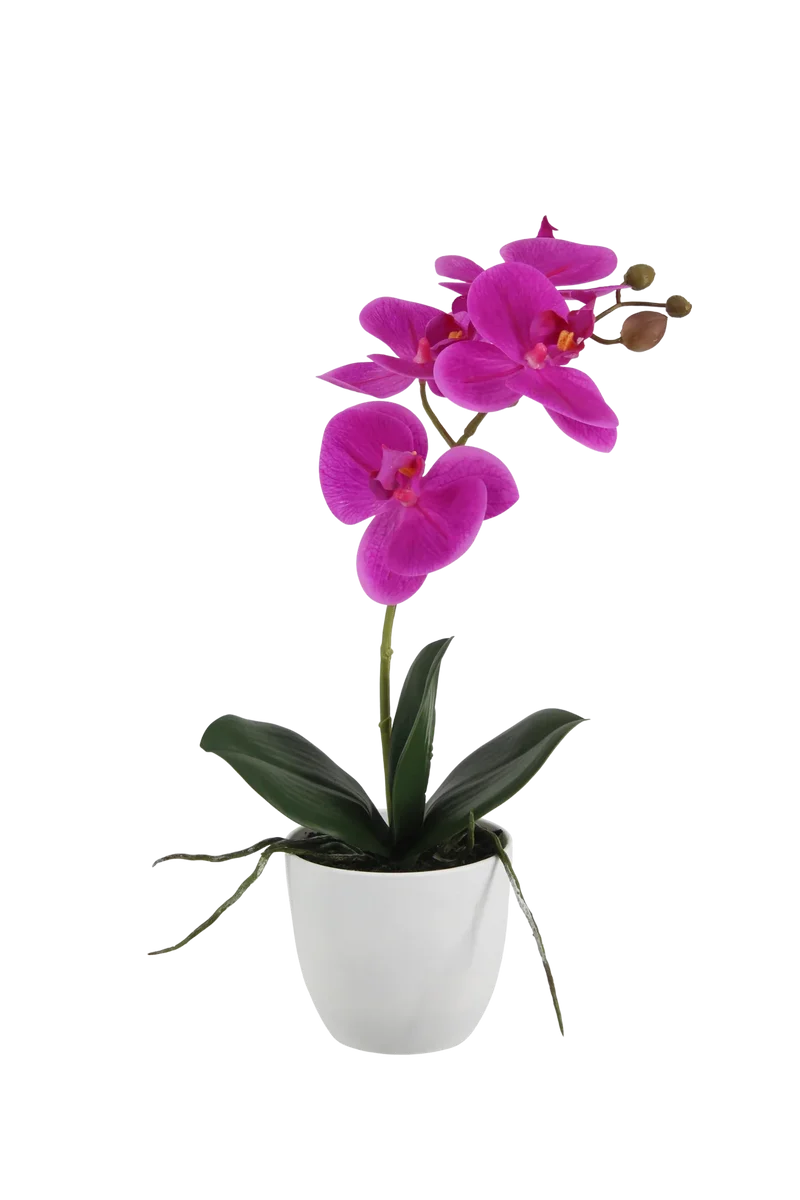 Künstliche Orchidee - Juan | 36 cm