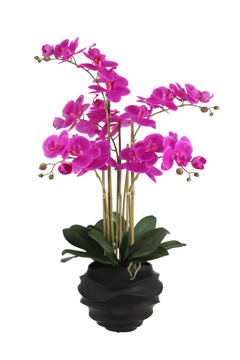 Künstliche Orchidee - Li | 67 cm
