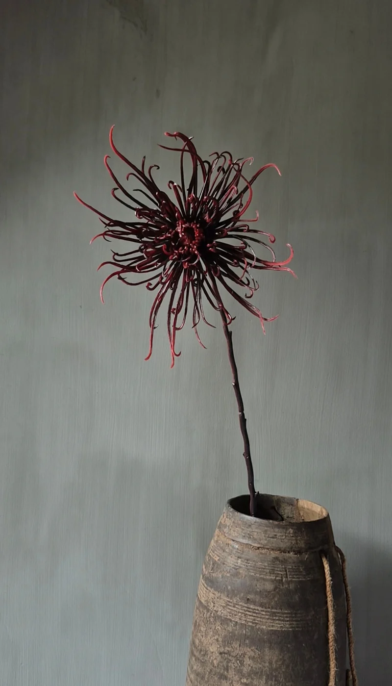 Spinchrysant kunsttak bordeauxrood - 75 cm