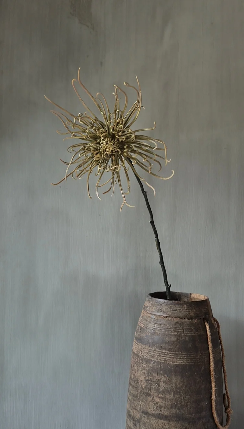 Spinchrysant kunsttak naturel - 75 cm