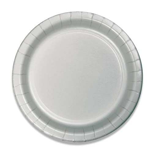 Kartonnen bordjes - 8 stuks - 23 cm - zilver