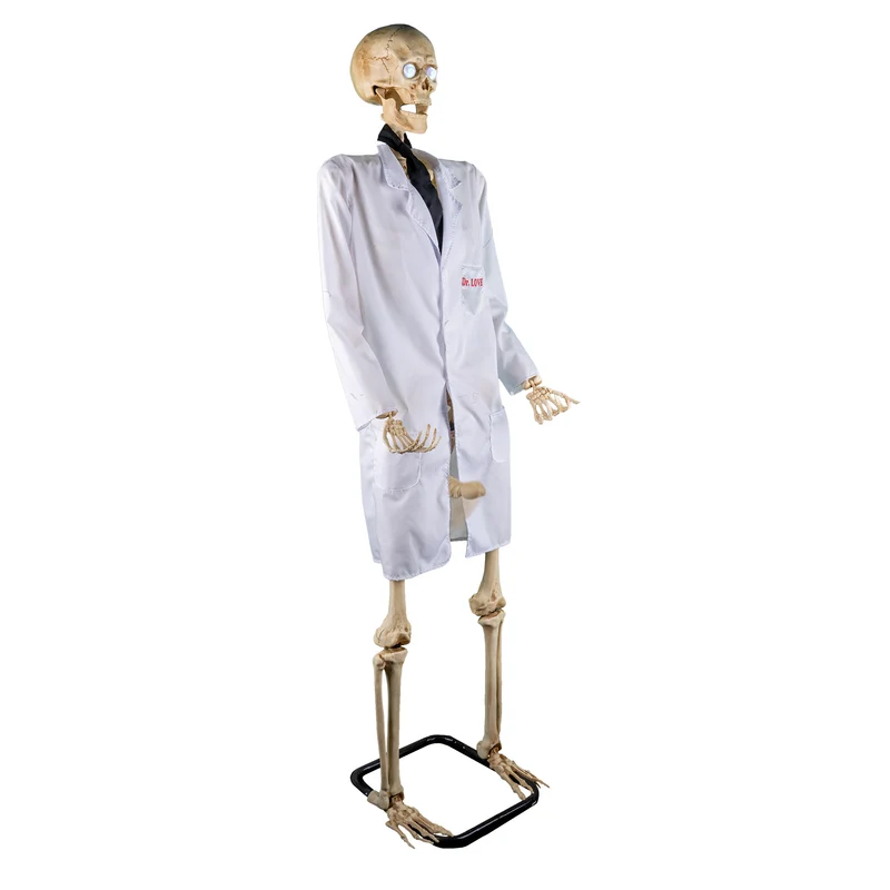 Skelet dokter 152 cm met witte doktersjas en standvoet