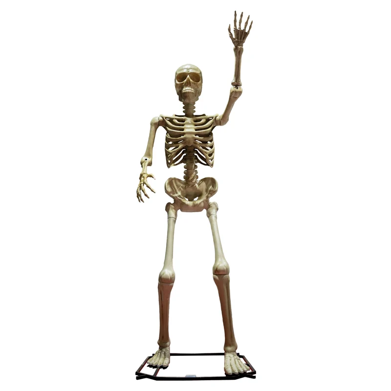 Levensgroot skelet 335 cm staand met voetplaat