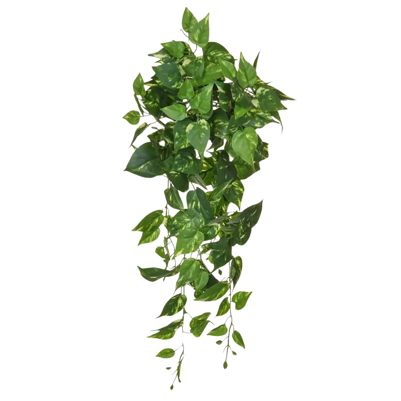 Kunstmatige Pothos - Walter | 80 cm