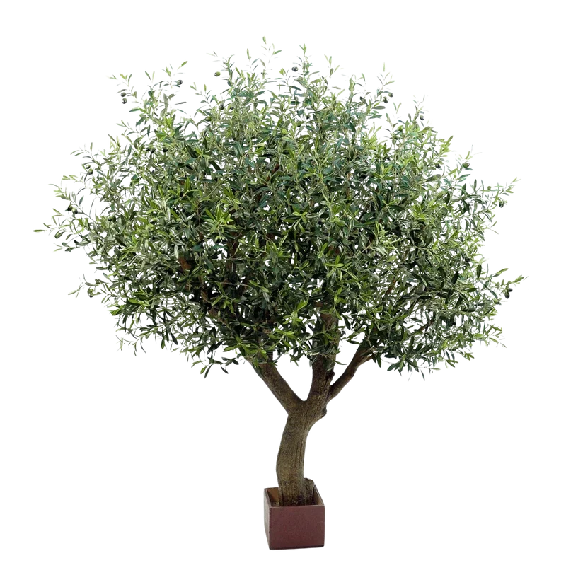 Künstlicher Olivenbaum - Mattis | 210 cm
