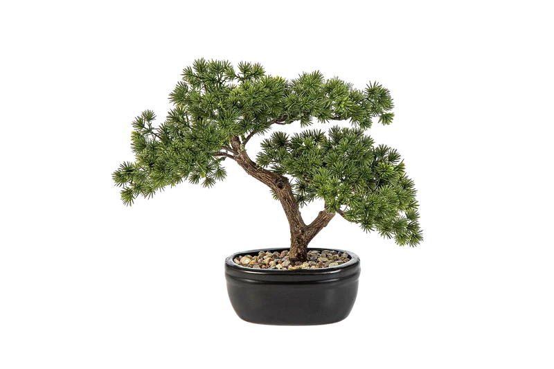 Künstlicher Bonsai - Nina | 26 cm