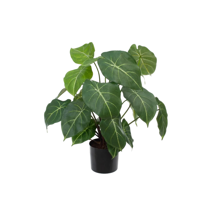 Künstliche Syngonium - Laika | 58 cm