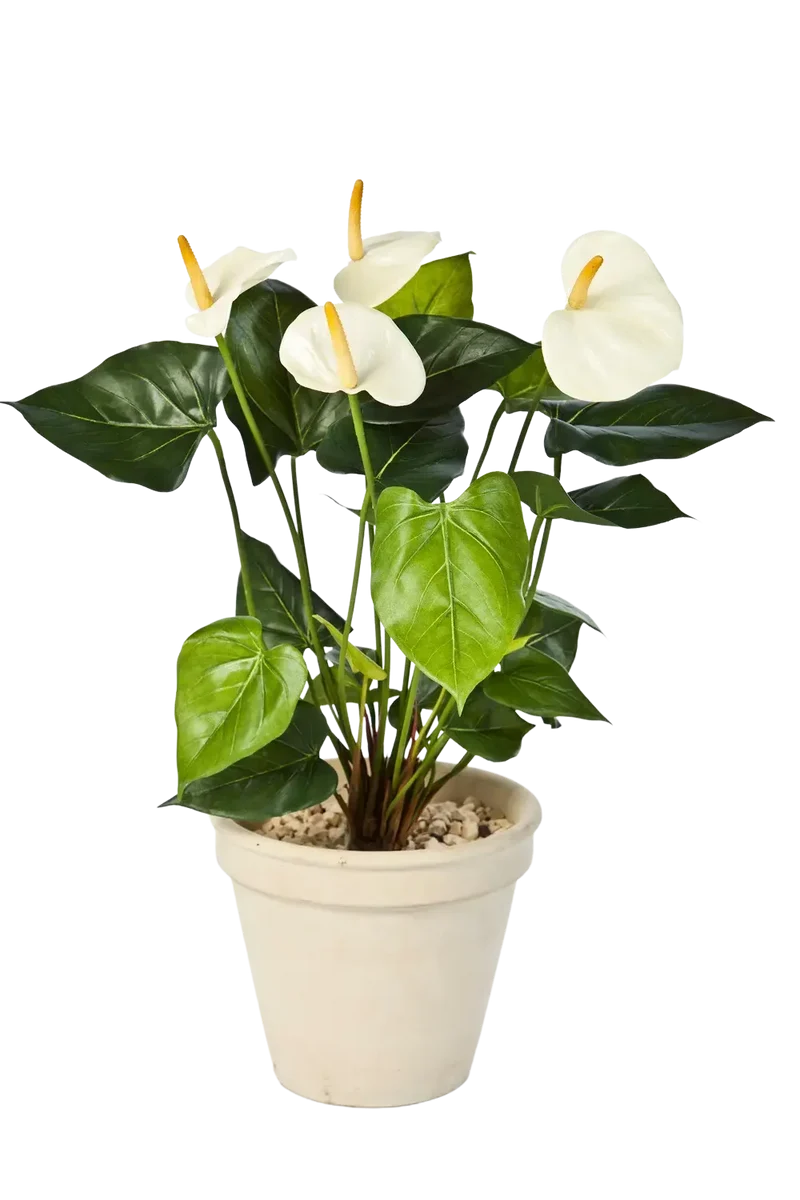 Flamingo kunstbloem - Plug - Nora | 56 cm