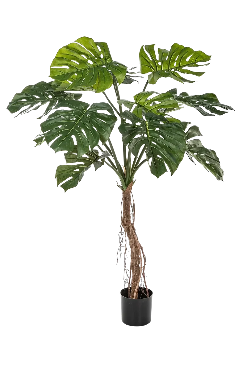 Kunst Philodendron Monstera - Dean | 130 cm