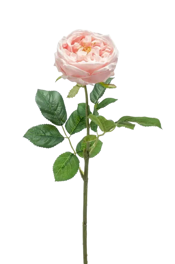Kunstroos - Samantha | 58 cm