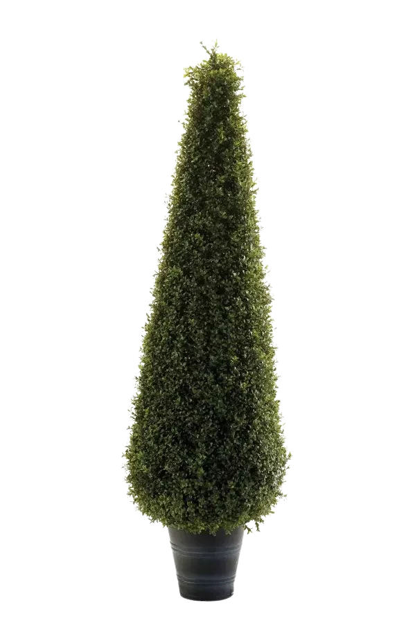 Kunst buxus piramide - Lucy | 135 cm