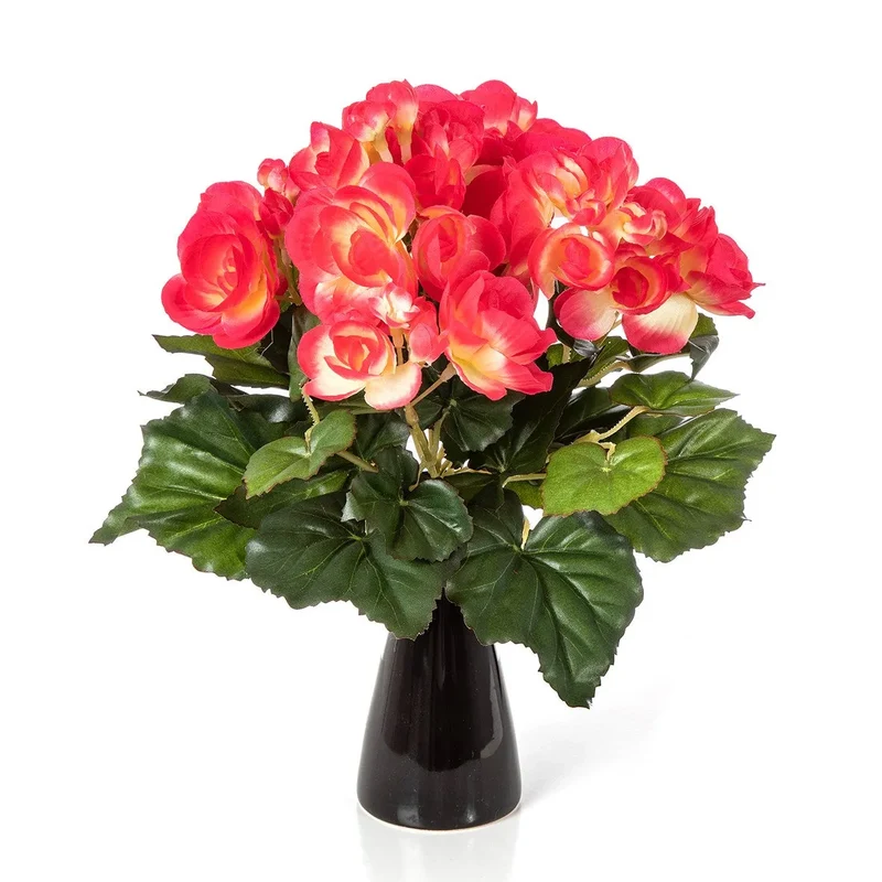 Kunst Begonia - Lou | 20 cm