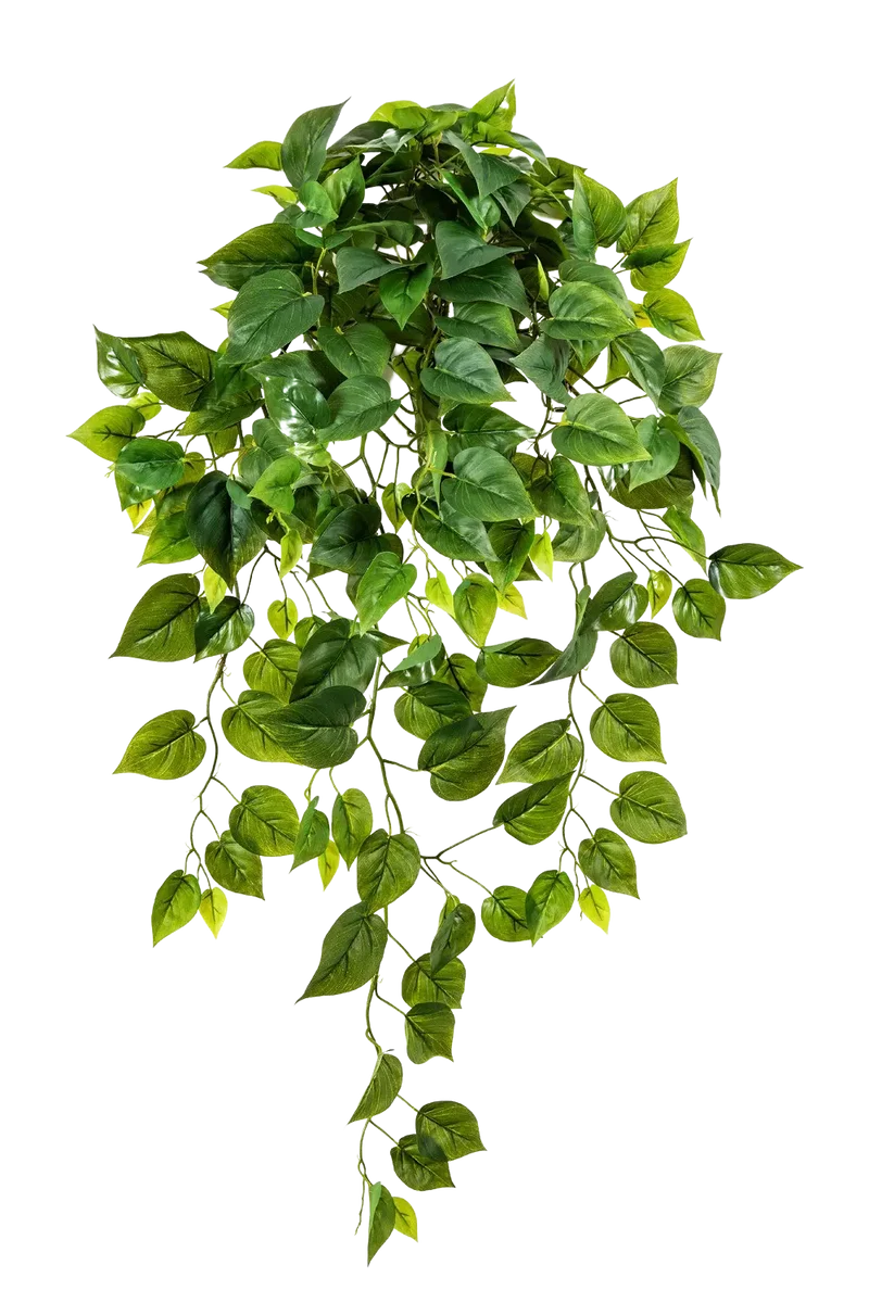 Kunst hangende Monstera - Barbara | 85 cm