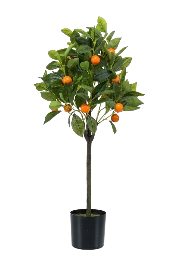 Kunst sinaasappelboom - Julia | 75 cm