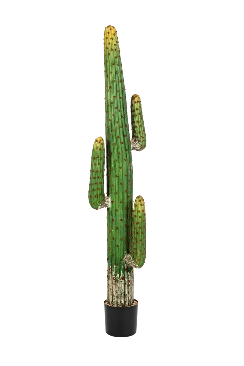 Kunst cactus - Hagen | 170 cm