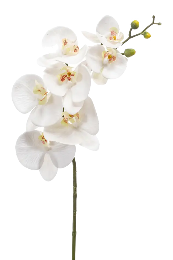 Künstliche Orchidee - Chen Lu | 86 cm