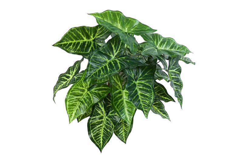 Kunst Monstera - Kalle | 45 cm