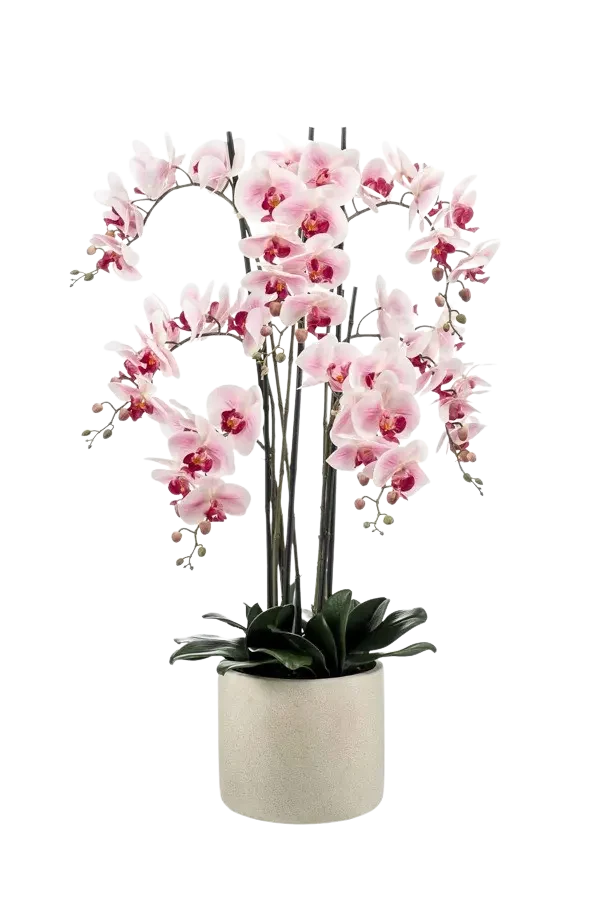 Kunst Orchidee - Leo | 100 cm