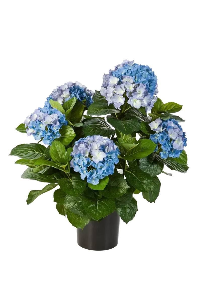 Kunst Hortensia - Naomi | 53 cm