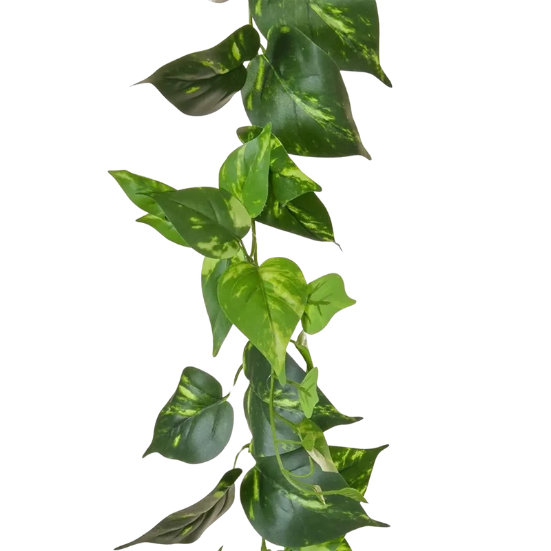 Kunstmatige pothos slinger - Christian | 220 cm