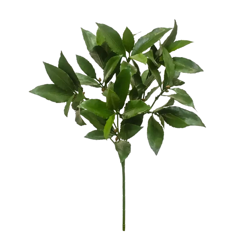 Künstliche Lorbeerzweig - Eugen | 51 cm