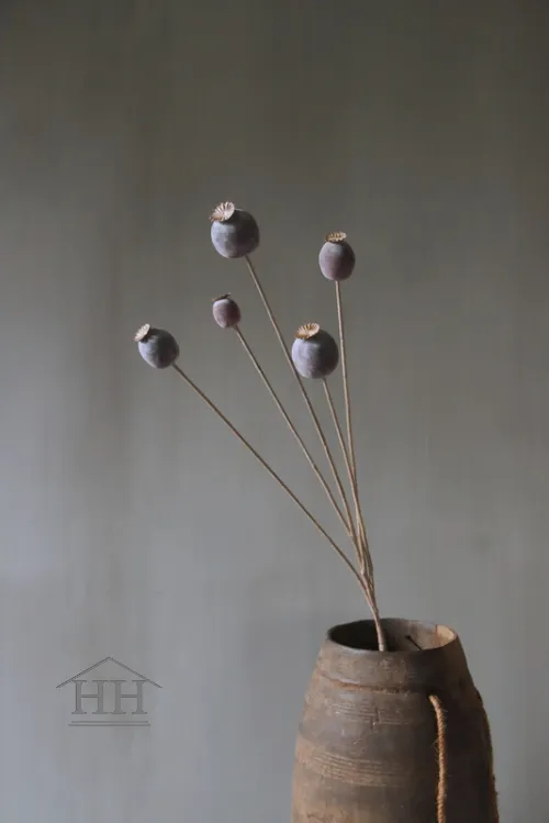 Papaver kunsttak grijs - 75 cm