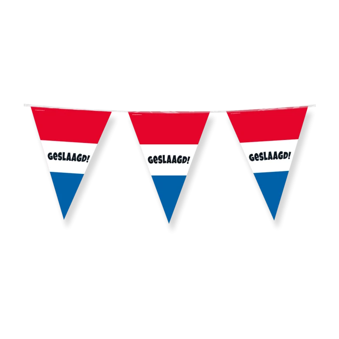 Geslaagd Vlaggenlijn / slinger - 10 meter vlaggetjes